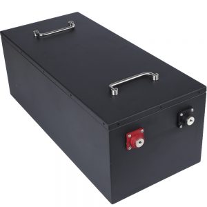 Deep Cycle 36V Battery Pack 12S1P LFP Lithium ion 36V Battery Pack Rickshaw EV RV AGV E-bike Lifepo4 36V 100Ah Batterie