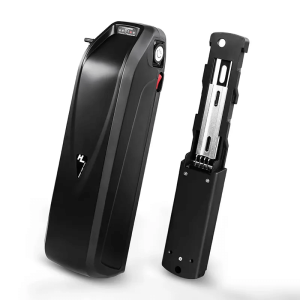 Hailong इलेक्ट्रिक स्कूटर ebike बॅटरी 48V 15Ah